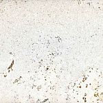 Настенная пробка в пластинах Ibercork EasyCork Лорка, 1 м.кв.